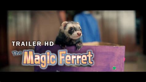 The mgic ferret